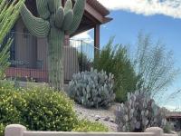 More Details about MLS # 6467964 : 13013 N PANORAMA DRIVE #219