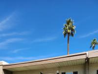 Primary Photo for MLS#: 6536771