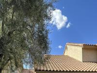 Primary Photo for MLS#: 6564990