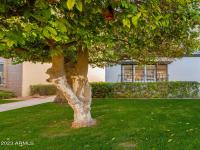 More Details about MLS # 6585265 : 7684 E MINNEZONA AVENUE