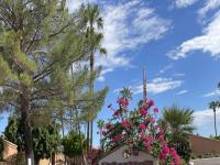 More Details about MLS # 6592693 : 16271 E CHIQUITA DRIVE#98