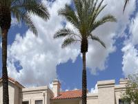More Details about MLS # 6846048 : 7800 E LINCOLN DRIVE#1035