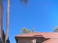 More Details about MLS # 6869592 : 8700 E MOUNTAIN VIEW ROAD#2029