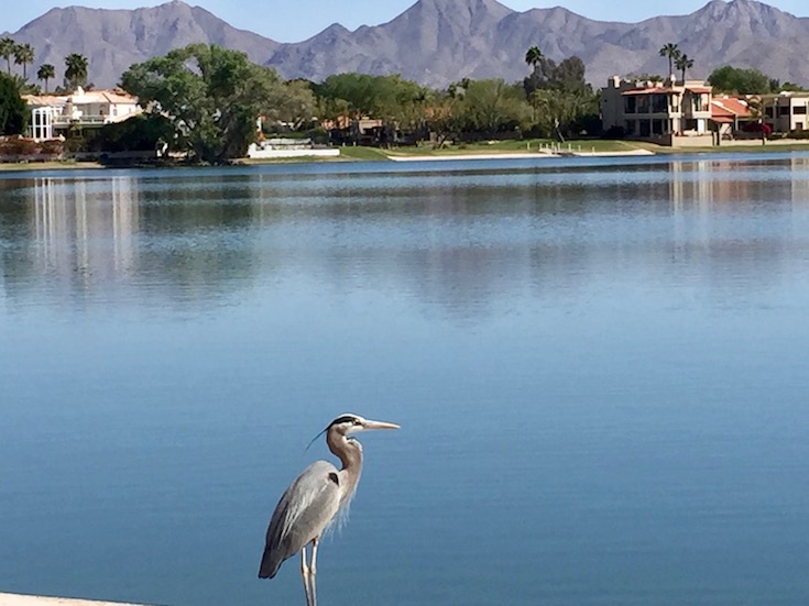 Scottsdale bike path