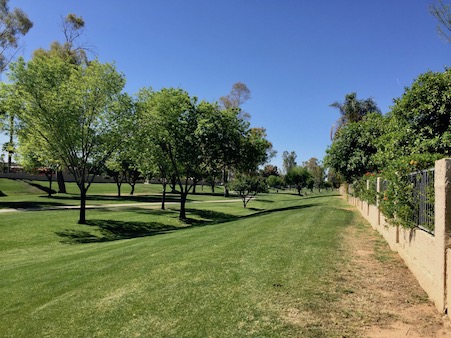 Browse Active McCormick Ranch Condos For Sale