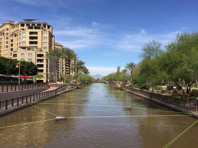 Browse active condo listings in Down Town Scottsdale
