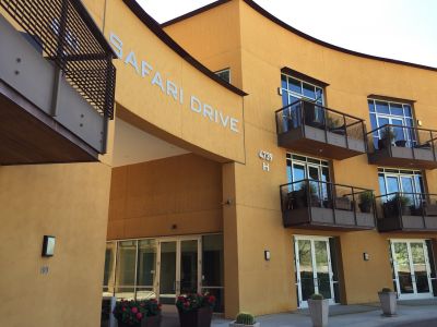 SAFARI DRIVE Condos for Sale